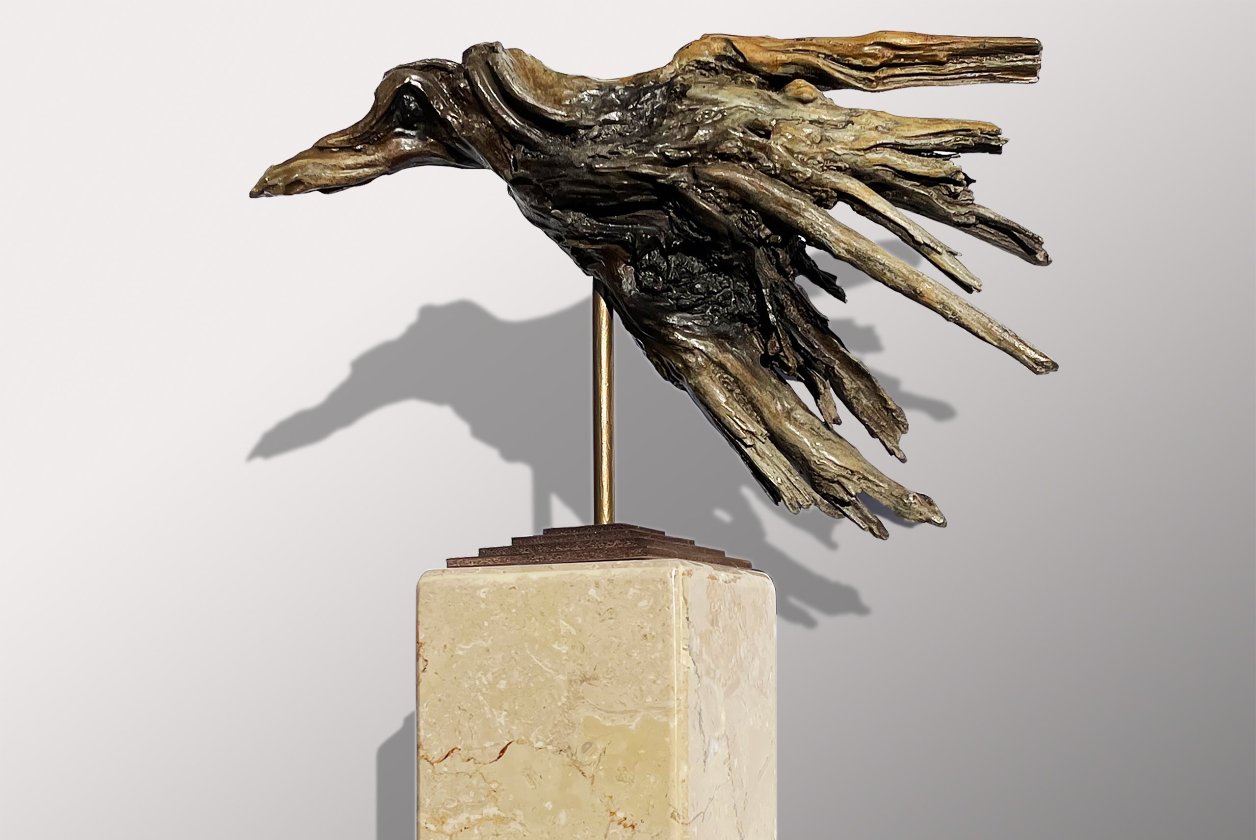 Featured image for “Shop”