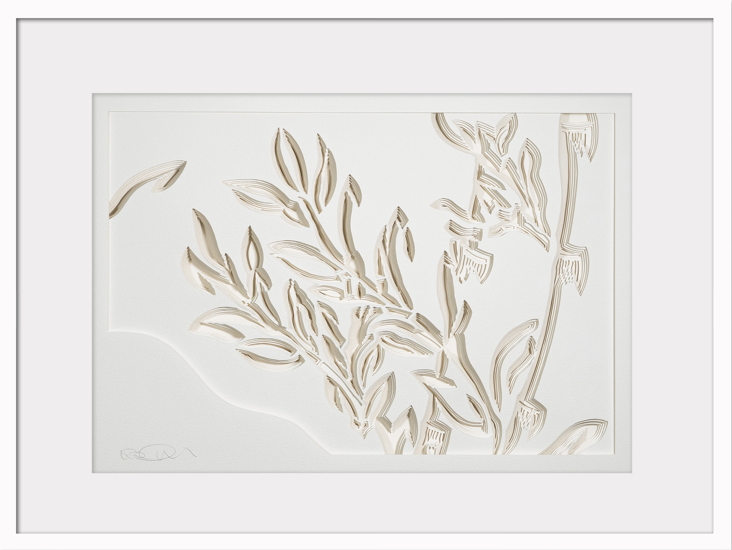 Featured image for “Shop”